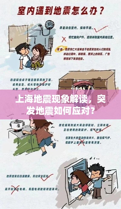 上海地震现象解读，突发地震如何应对？