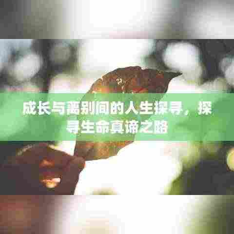 成长与离别间的人生探寻，探寻生命真谛之路