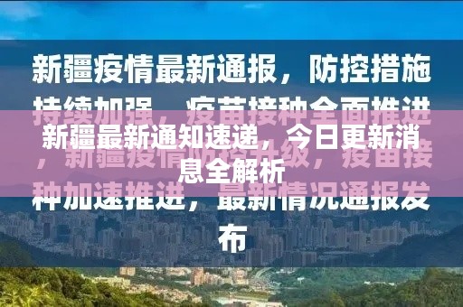 新疆最新通知速递，今日更新消息全解析
