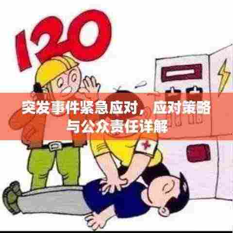 突发事件紧急应对，应对策略与公众责任详解