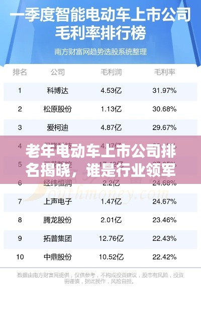 老年电动车上市公司排名揭晓,谁是行业领军者?