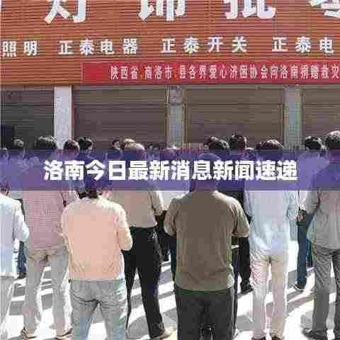 洛南今日最新消息新闻速递