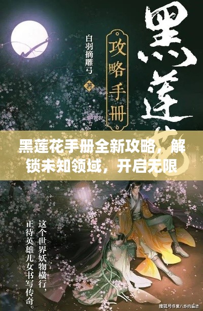 黑莲花手册全新攻略,解锁未知领域,开启无限探索之旅